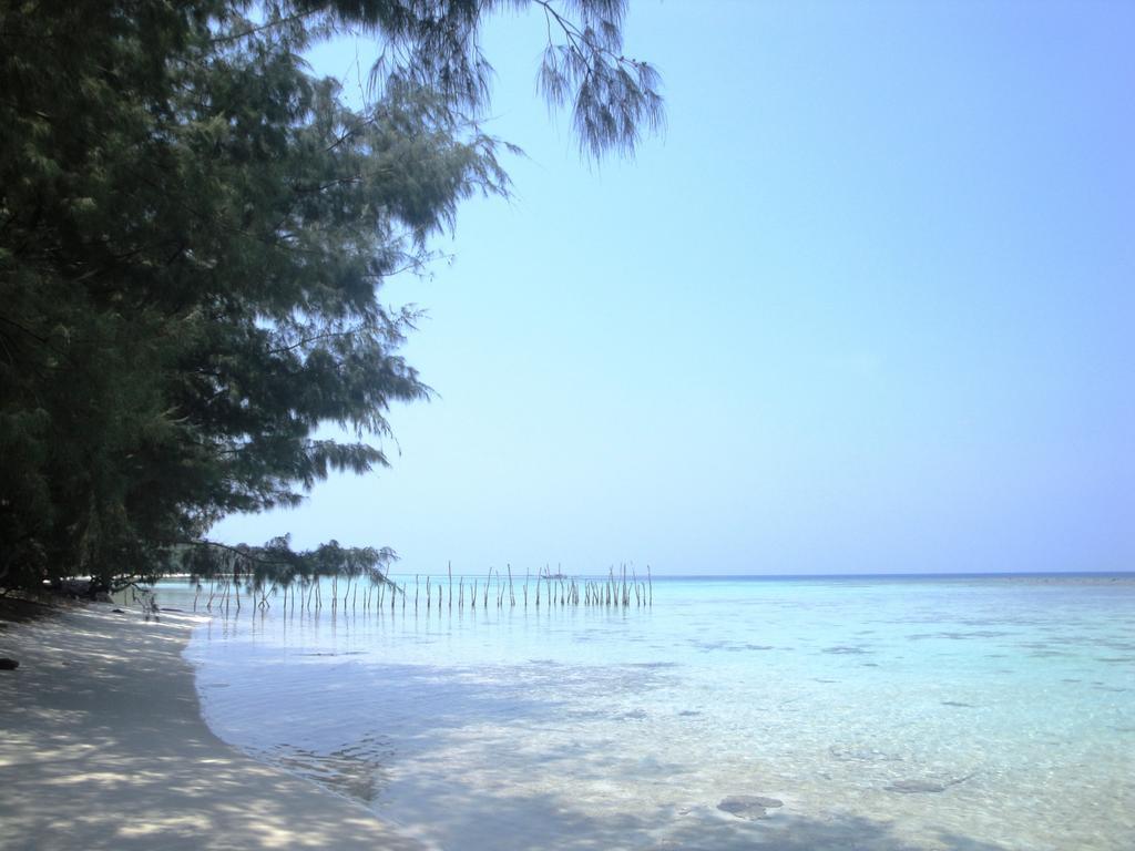 كاريمونجاوا Menjangan Resort الغرفة الصورة